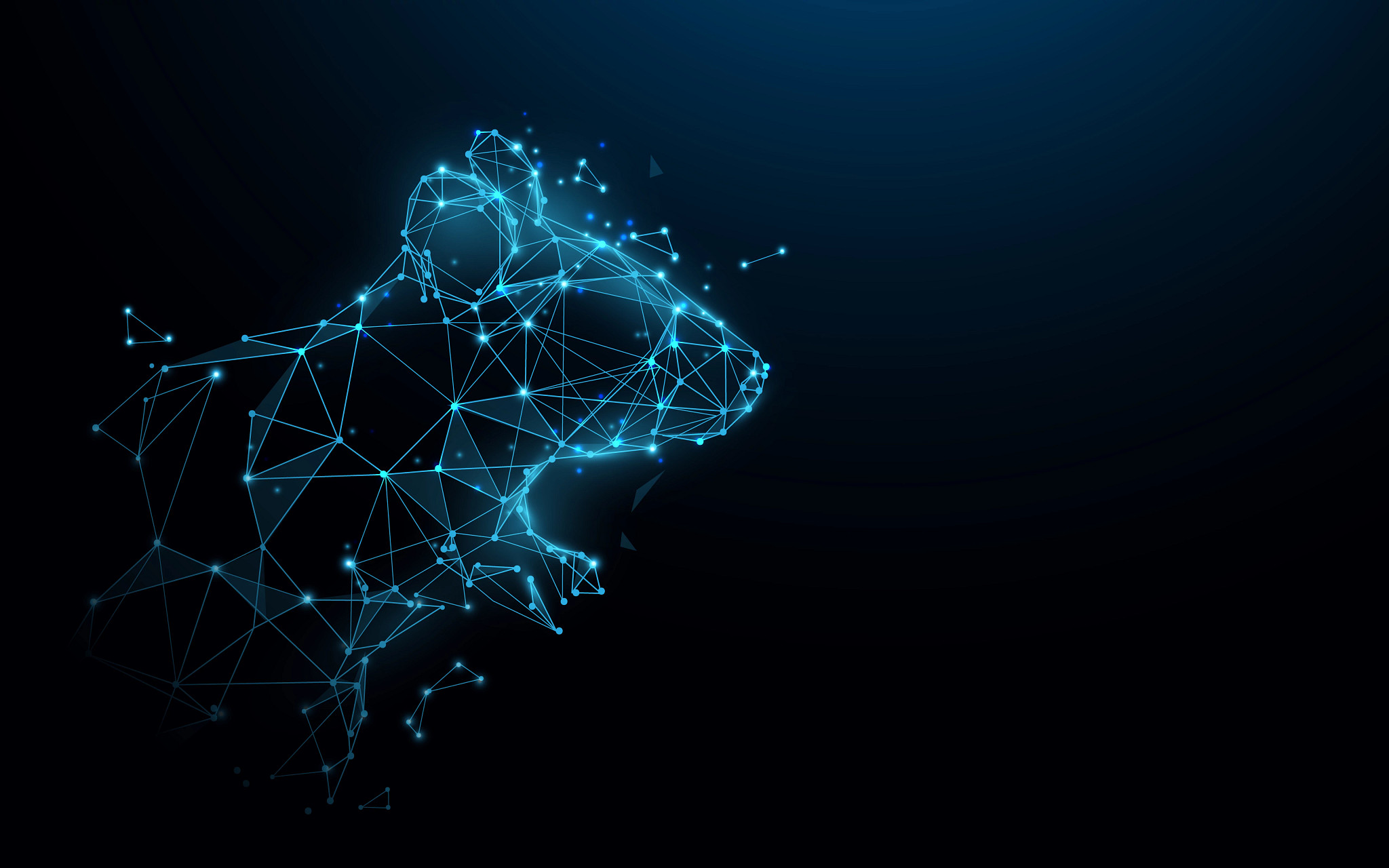 digital polygon rendering of mouse head