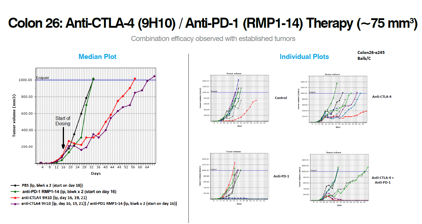 Colon Cancer Syngeneic Model Oncology Data