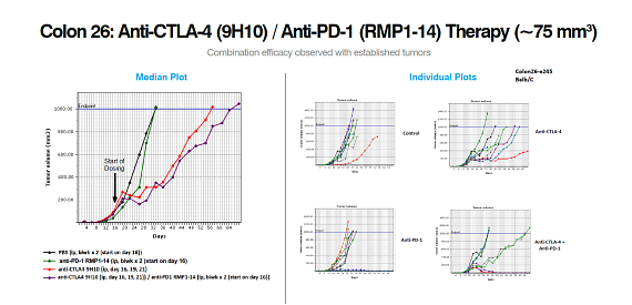 Colon Cancer Syngeneic Model Oncology Data