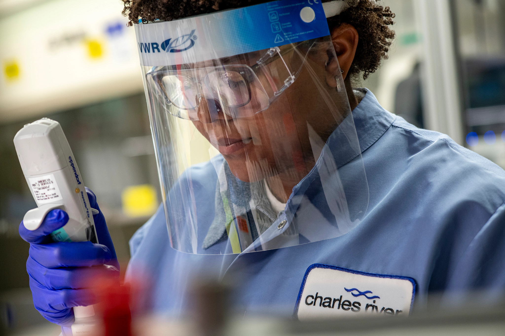 Charles River Research lab technician, an African American woman wearing blue scrubs with a logo, working in a lab testing samples for the IND enabling program.