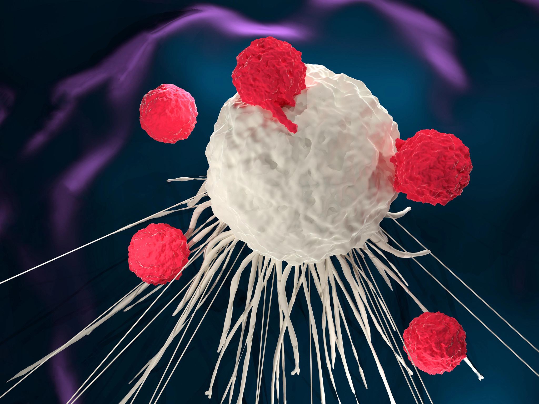 CAR-T cell therapy with white and red cells.