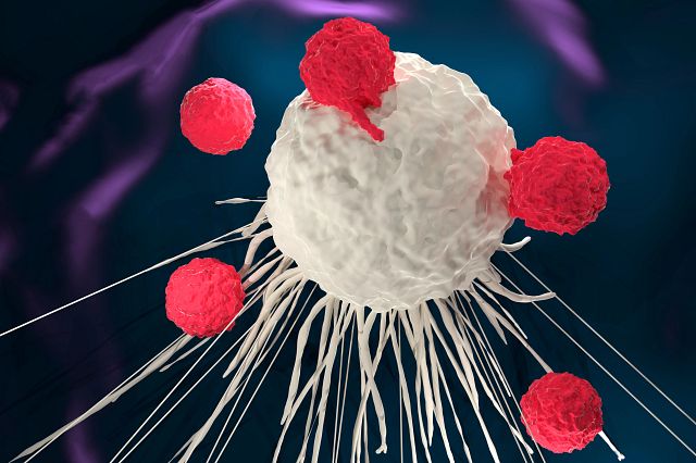 CAR-T cell therapy with white and red cells.
