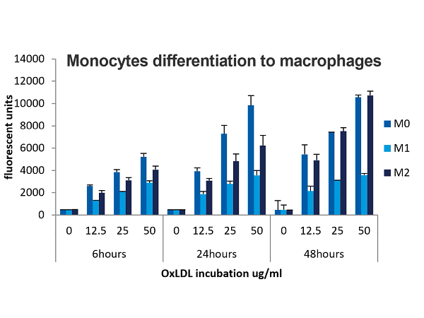 Bar chart showing monocytes differentiation to macrophages
