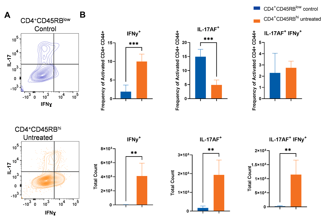 Phenotype of lamina propria immune cells after ex vivo re-stimulation Data.