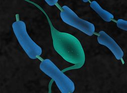 A thumbnail image of neurons with a blue backdrop.