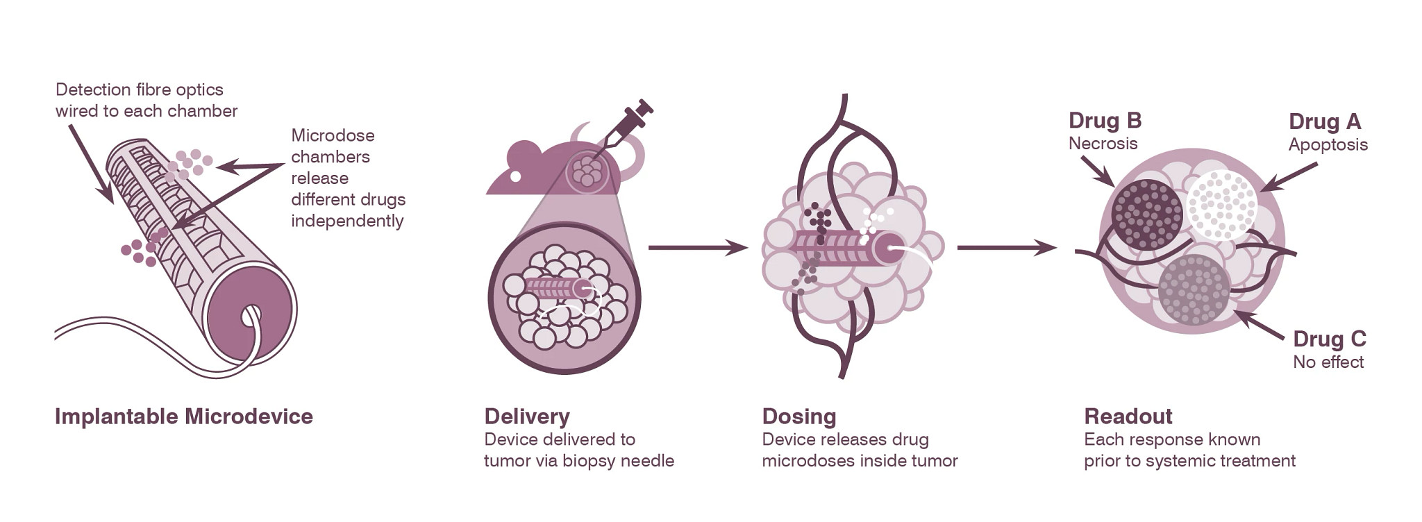 In vivo implantable microdevice for oncology in vivo tumor models.