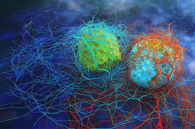 Image of tumor for AACR 2021 signifying the oncology research done at Charles River