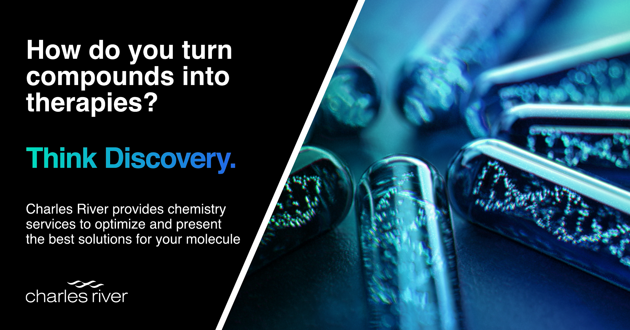 Think Discovery. Charles River provides chemistry services to optimize and present the best solutions for your molecule.