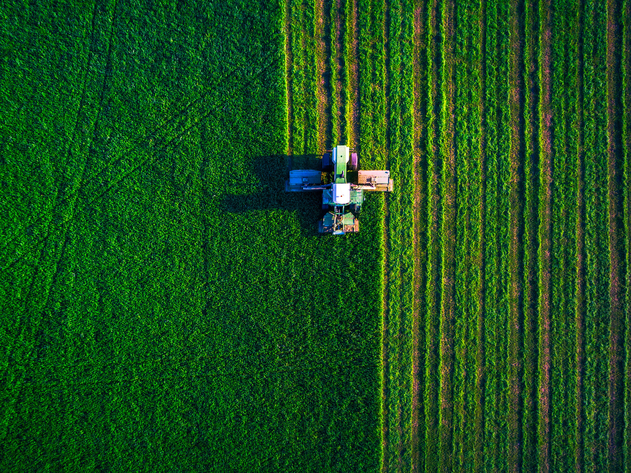 Field being sprayed with plant protection product