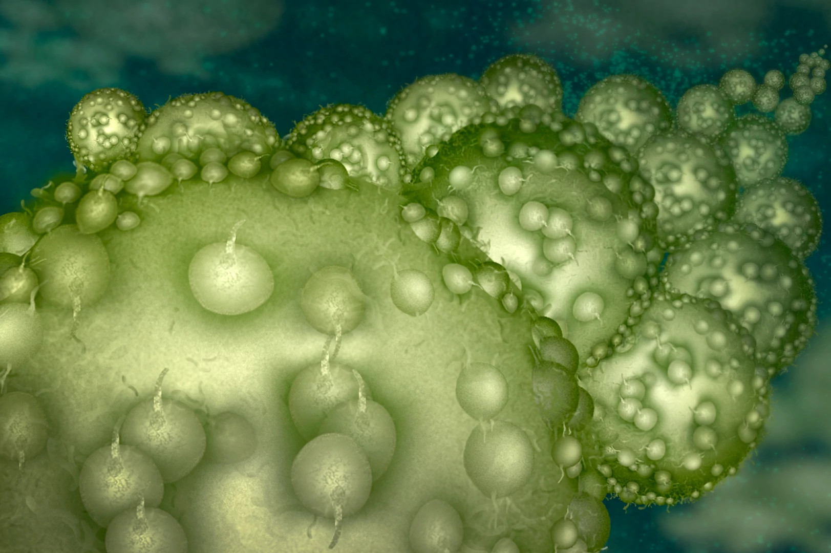 Graphic image of multiple tumor cells to represent the in vitro PDX assay services for oncology at Charles River