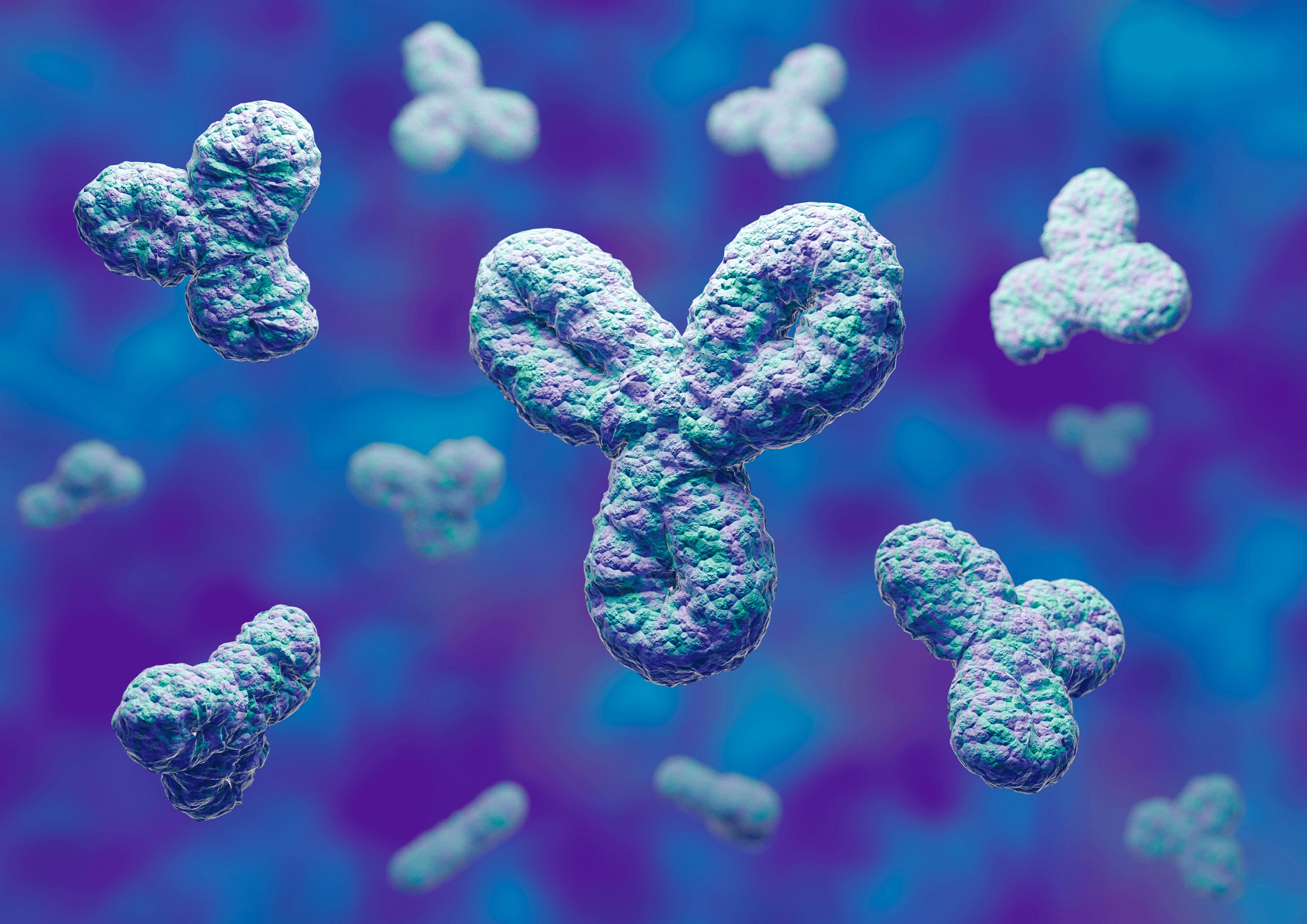3D rendering of human antibodies