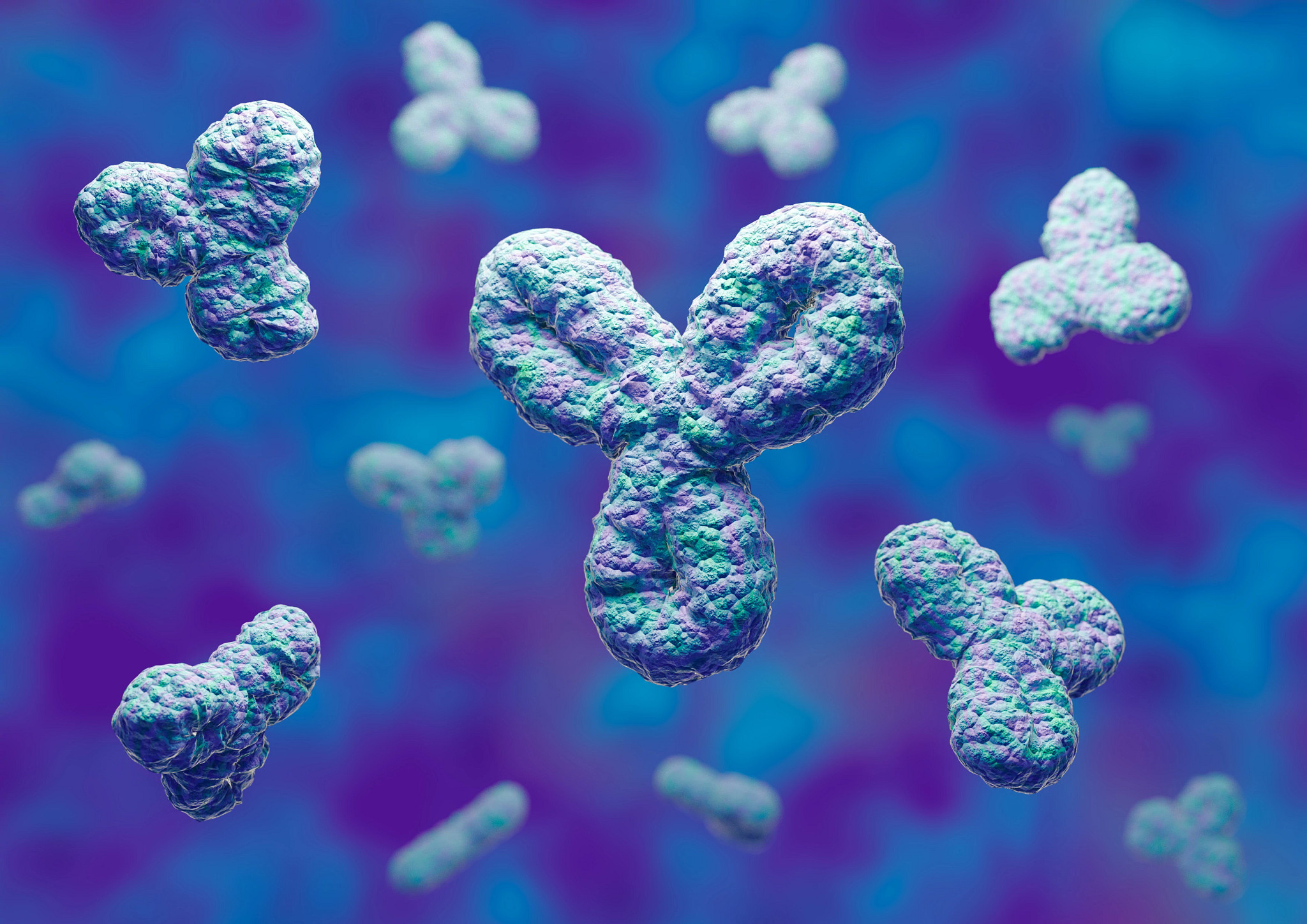 Human antibodies, immunoglobulin proteins, Immune system. 3D rendering