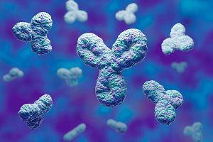 3D rendering of antibody molecules, to represent webinar on Tumbler® antibody optimization platform for antibody humanization and affinity maturation.