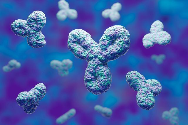 Human antibodies, immunoglobulin proteins, Immune system. 3D rendering