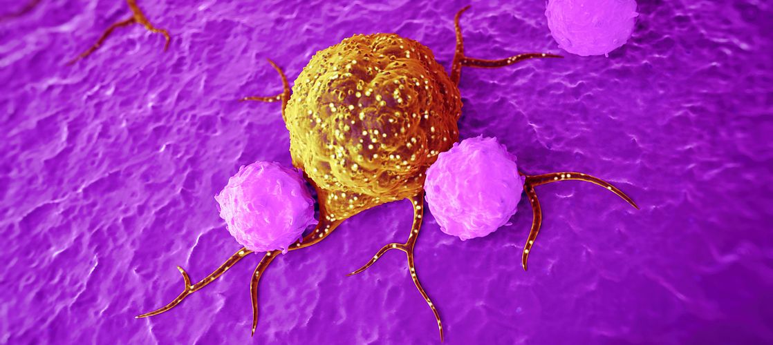 Useful Tools in Immunology Catalogue of Somatic Mutations in Cancer