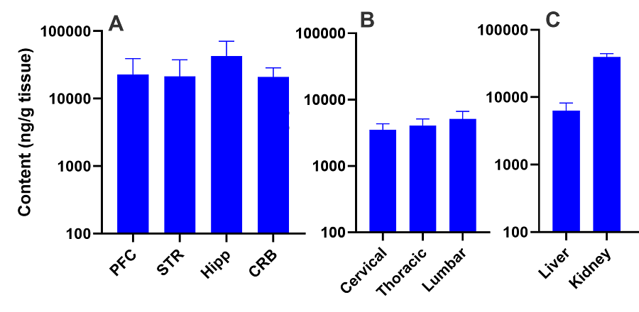 Graphs showing the detection of Nusinersen by LC-MS following intracerebrovascular administration.