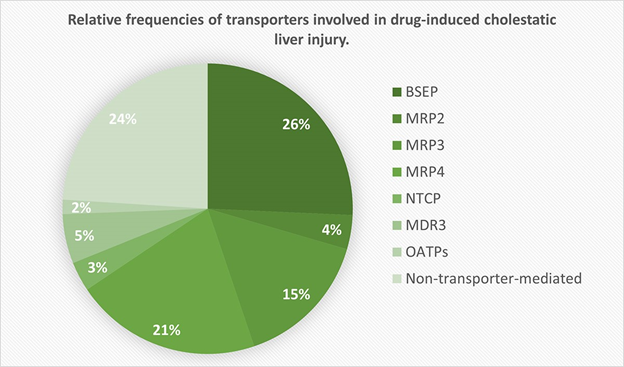 Figure 2. Relative frequencies (expressed as percentages) of transporter involved in drug-induced cholestatic liver injury.