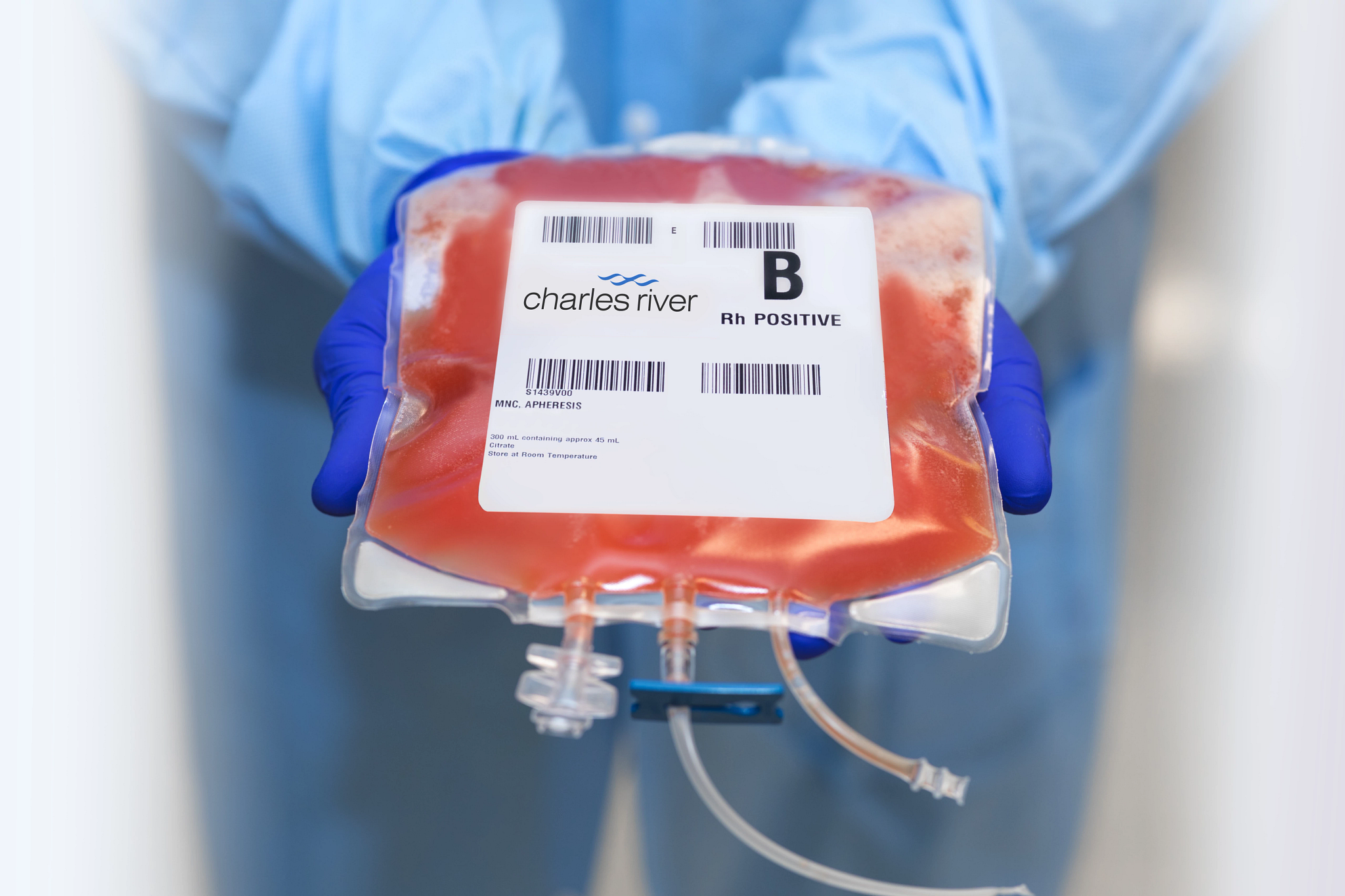 Photo of a scientist wearing gloves, holding Charles River Fresh Leukopak.