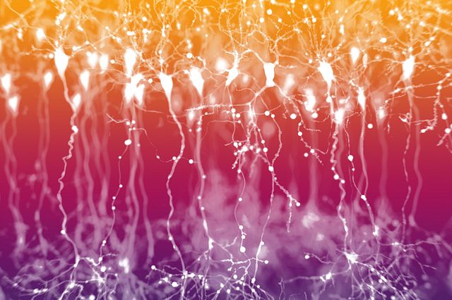 Still-shot of the video of neurons that serves as the neuroscience microsite backdrop.