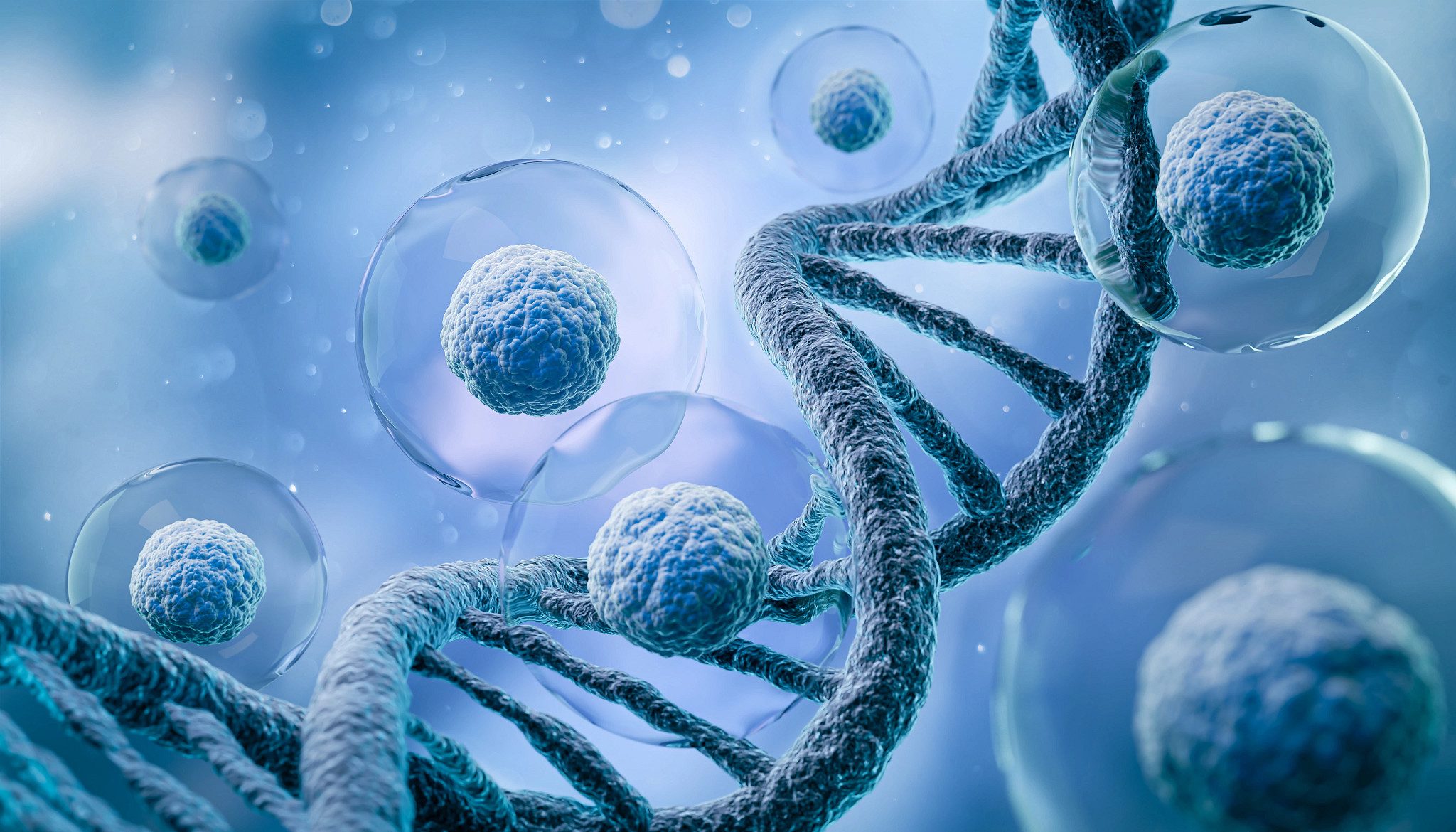 3d rendering of Human cell or Embryonic stem cell microscope background