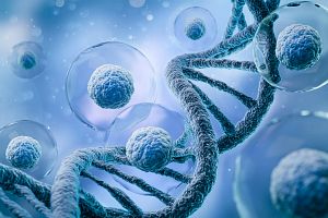 3d rendering of Human cell or Embryonic stem cell microscope background