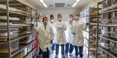 Regulatory Consulting and Program Management, Scientific Advisory Services, Lab scientists in Charles River Setting.
