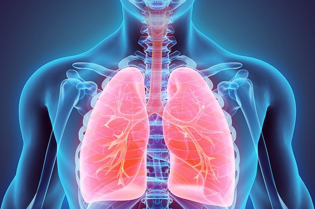 Inhalation and respiratory safety studies are required and Charles River offers regulated study capabilities to help pharmaceutical and biotechnology companies stay on track.