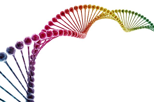 DNA double helix multi color isolated on white background