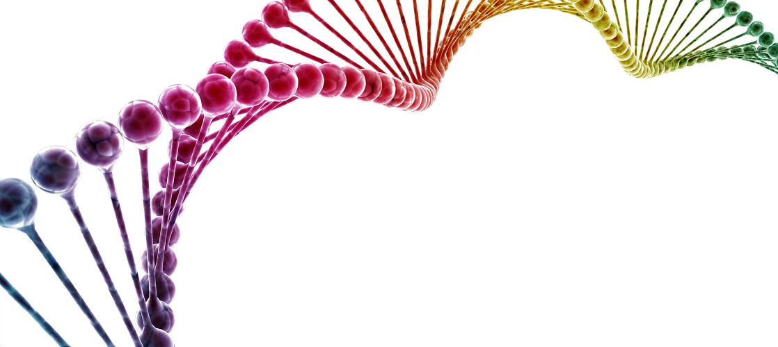 rainbow colored DNA helix strand on a white background