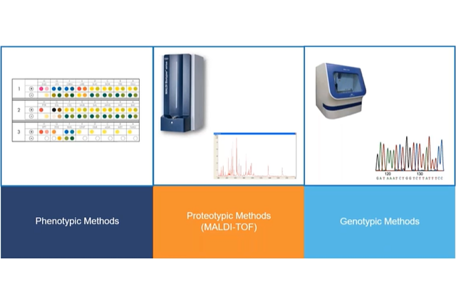 Image of three bacterial ID methods, and their respective intruments.