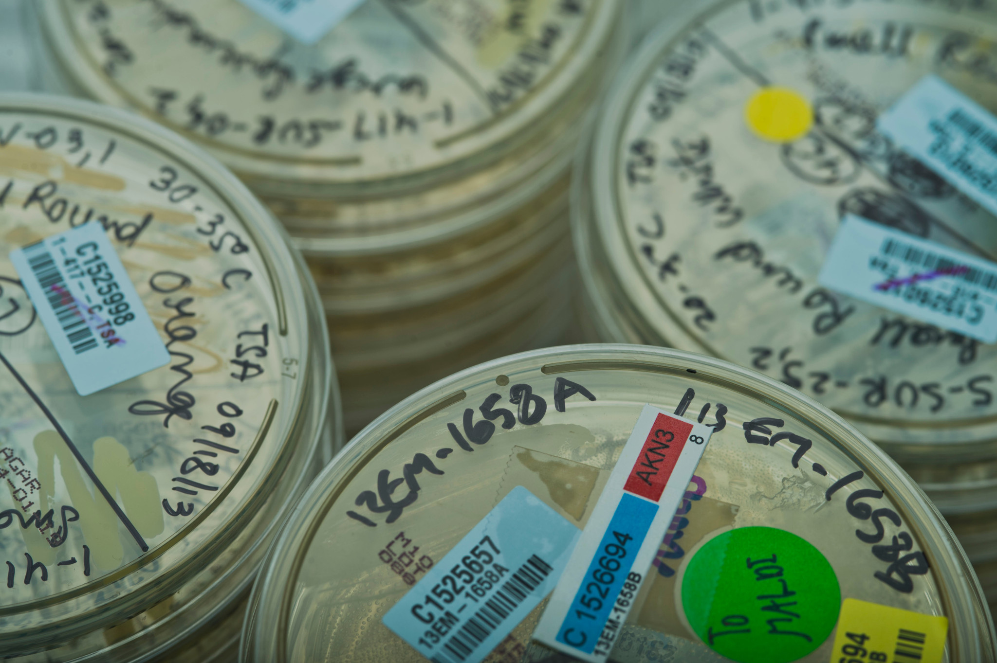 Charles River Opens Microbial Identification Lab in Brazil Charles River