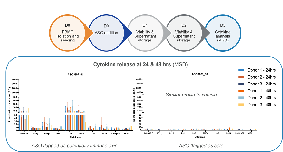 Experimental outline and graphs showing cytokine release from PBMCs induced by a range of ASOs.