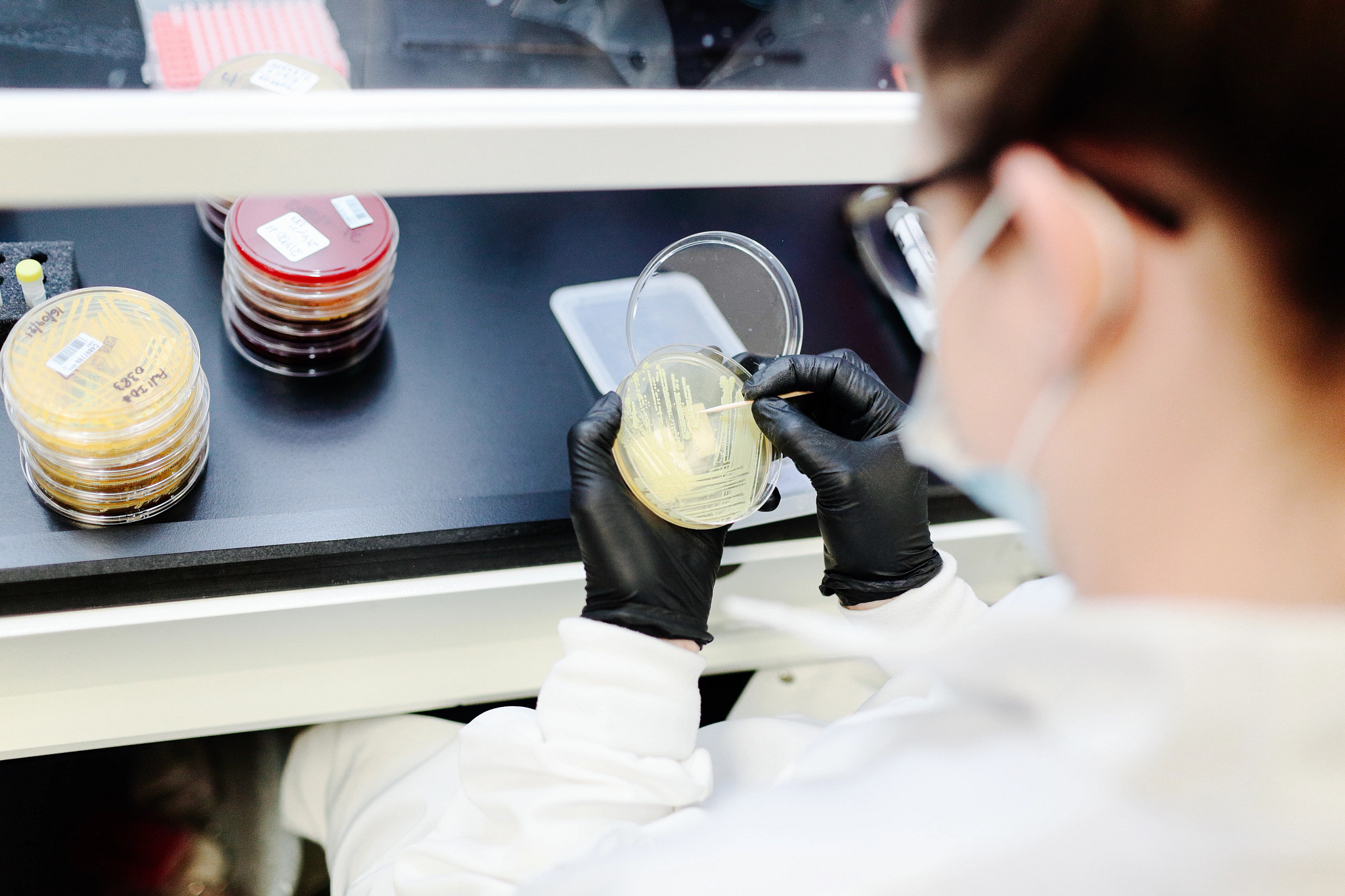 This webinar examines a real-world case study where inaccurate microbial identification methods led a company down an erroneous and costly investigation path.