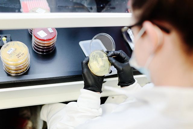 This webinar examines a real-world case study where inaccurate microbial identification methods led a company down an erroneous and costly investigation path.