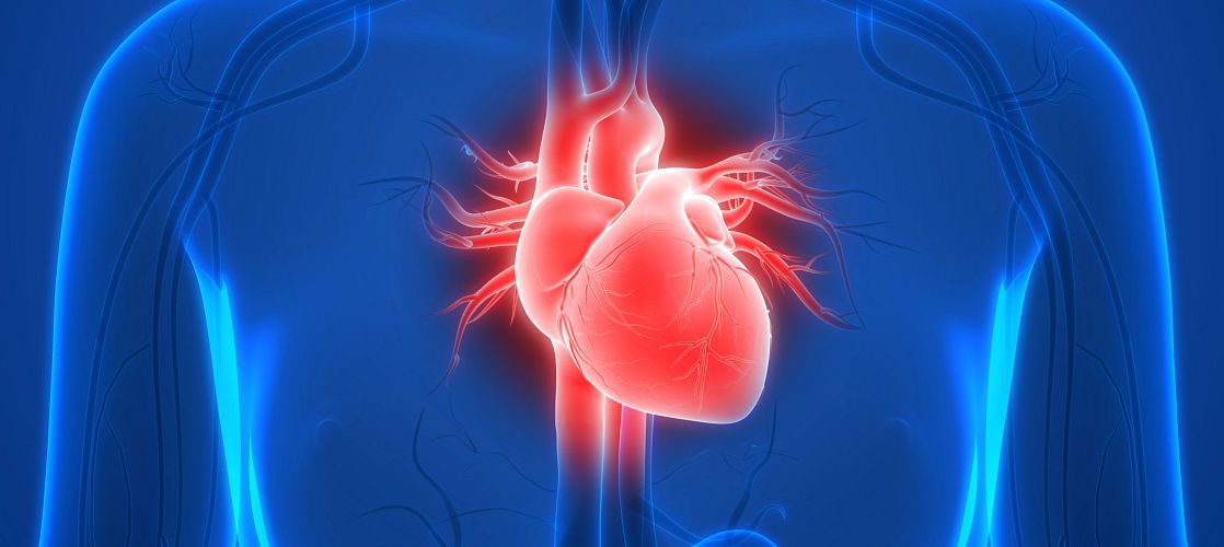 New Heart Delivery Method Could Save More Lives | Eureka blog