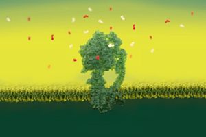abstract ditial rendering of structural biology