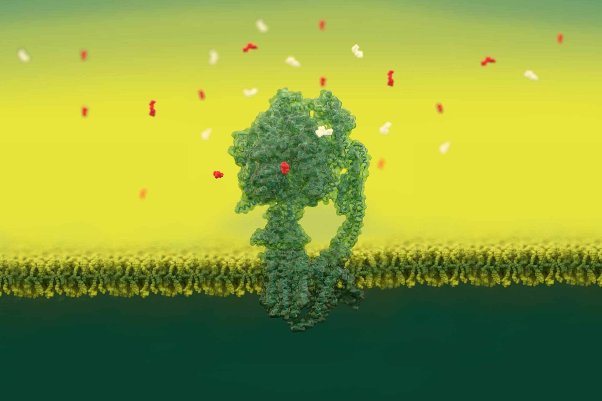 abstract ditial rendering of structural biology