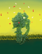 abstract ditial rendering of structural biology