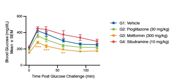 Line graph showing the time Post Glucose Challenge data for the C57BL/6J DIO Mice model