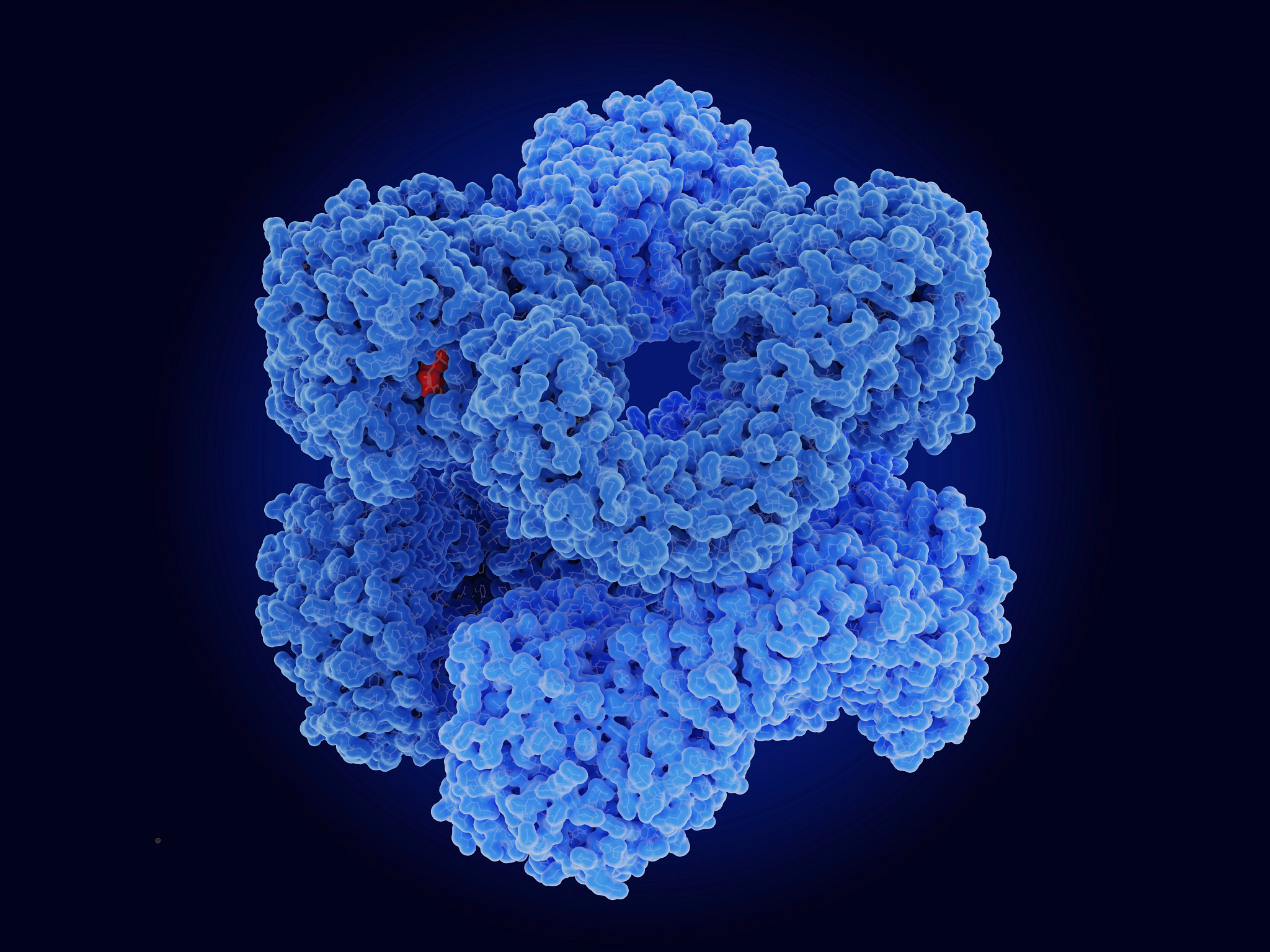 3D molecular model of a blue protein complex with a small red ligand bound