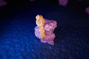 Image depicting the action of a glucagon-like peptide-1 (GLP-1) receptor agonist.