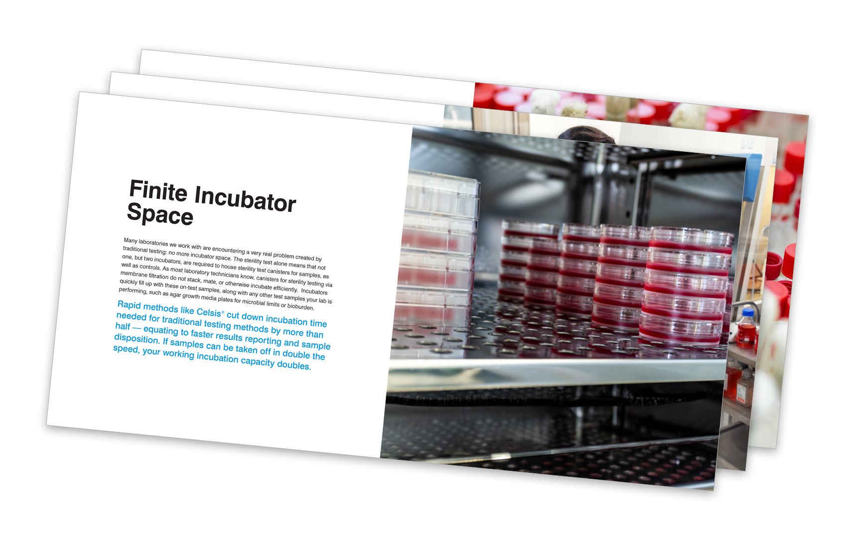 Guide thumbnail on Revolutionize Your Contract Lab Testing Operations with Rapid Microbiological Methods.
