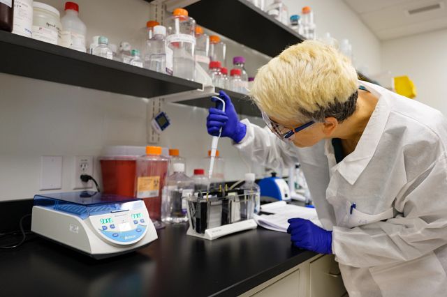 cell and gene therapy scale up manufacturing in the lab