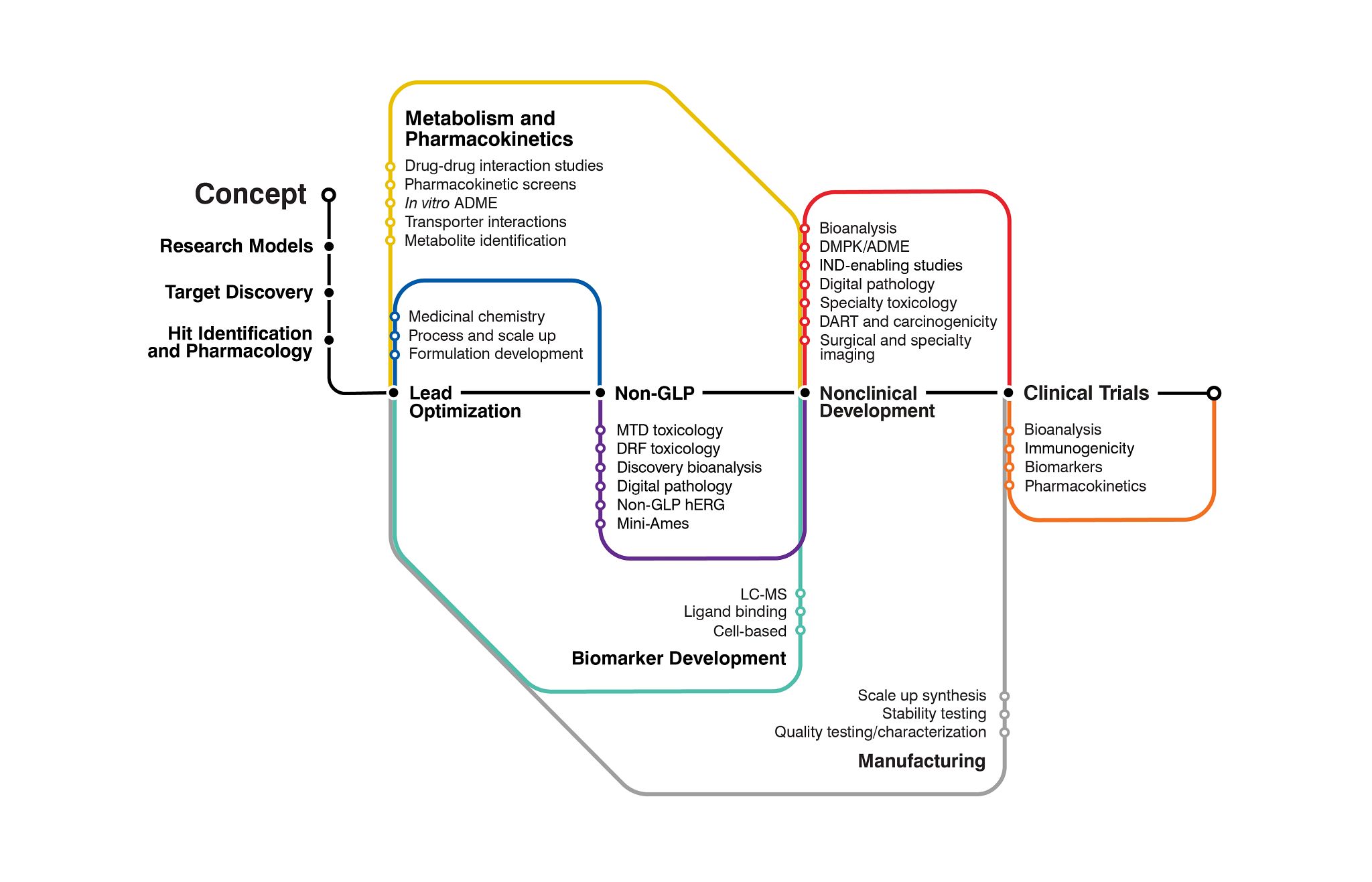 IND enabling development strategy matrix showing integrated nonclinical, biomarker, and manufacturing activities from discovery through clinical trials.