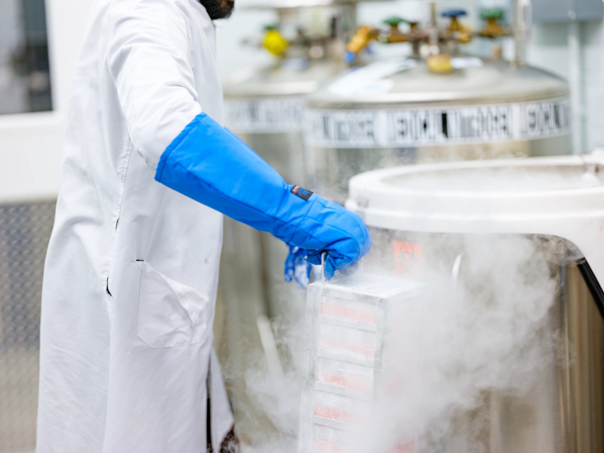 Scientist in a lab using cell freezing media