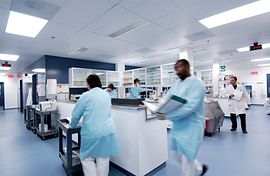 Facility overview of the Saint-Nazaire site with details of their bioanalysis, biomarker, and immunogenicity capacities.