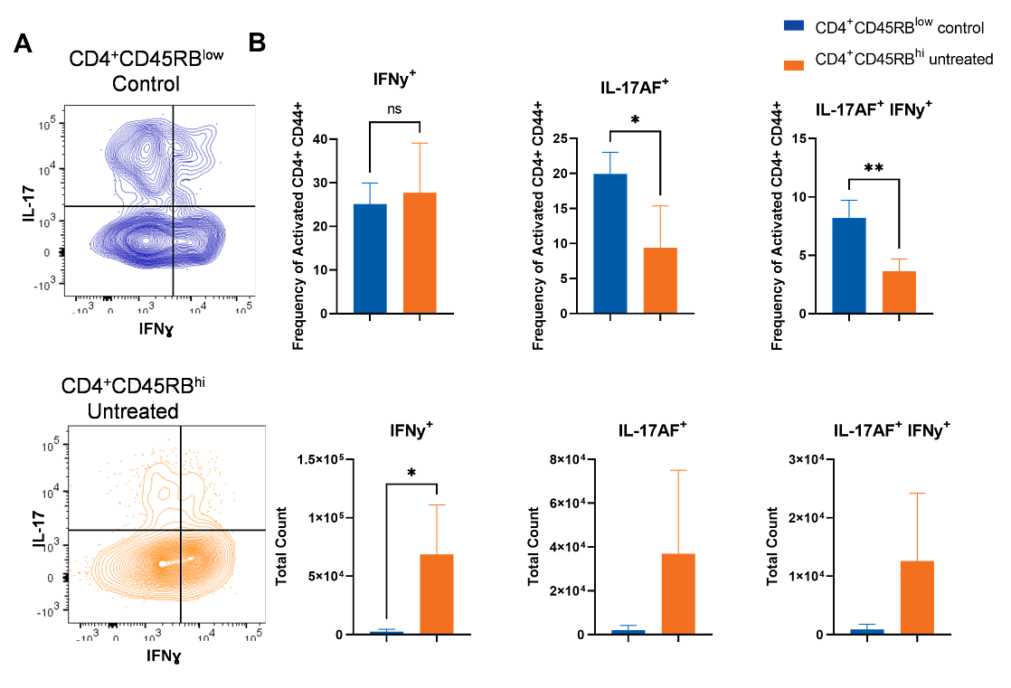 Phenotype of lymph node immune cells after ex vivo re-stimulation.