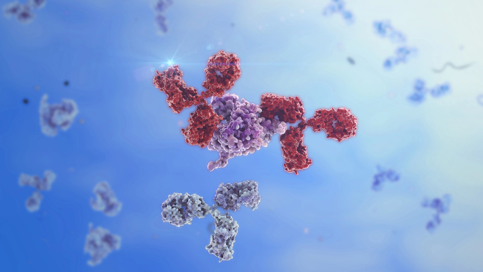 Image of IG-g like Antibodies binding to a foreign protein