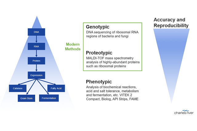 ID Methods - Methods Triangles.png