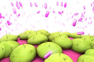 graphic render of molecule binding to the receptors on the cell.